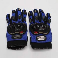 Gloves (6)